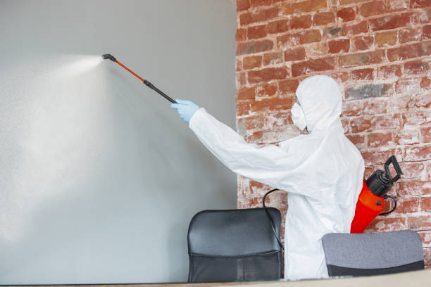 Best Mold Damage Restoration  in La Crescent, MN