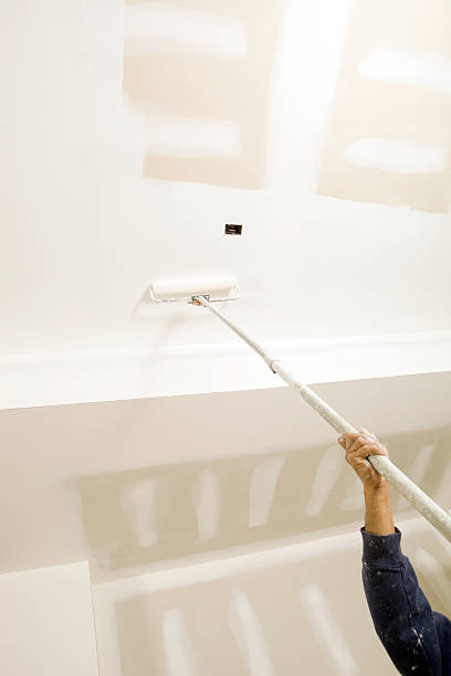 Best Emergency Mold Remediation  in La Crescent, MN