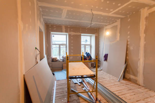Best Mold Documentation for Insurance Claims  in La Crescent, MN