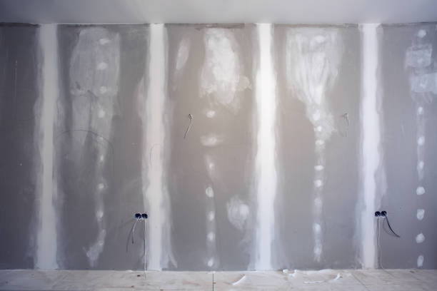Best Mold Odor Removal Services  in La Crescent, MN